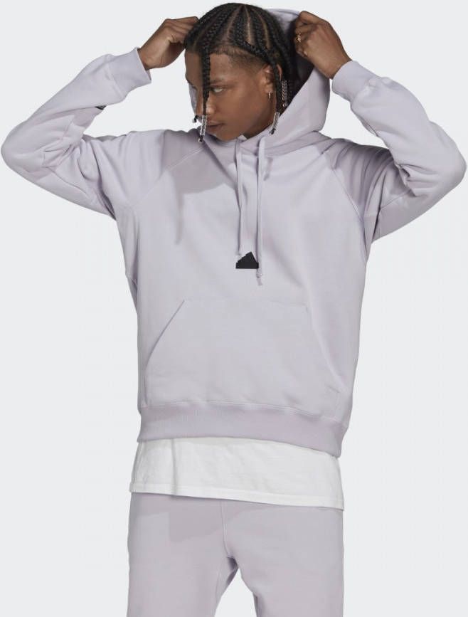 Adidas Sportswear Heren Hoodies