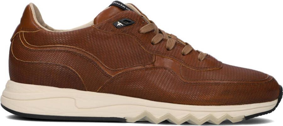 Floris Van Bommel Cognac Lage Sneakers Sfm 10128