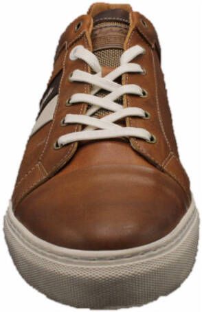 Australian Sportief Moliere , Bruin, Heren