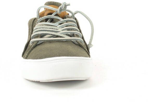 Blackstone Pm31