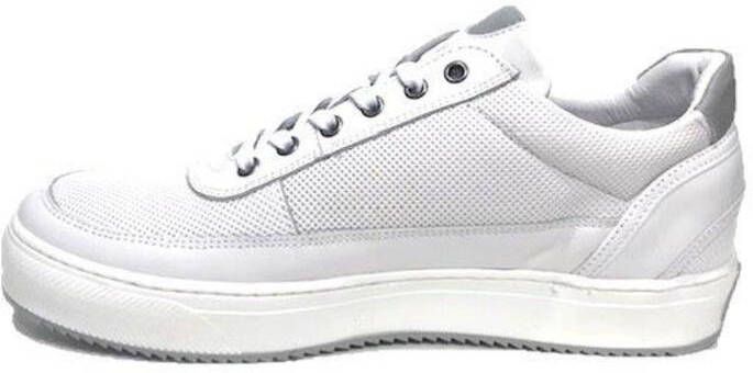 Cycleur de Luxe Montreal