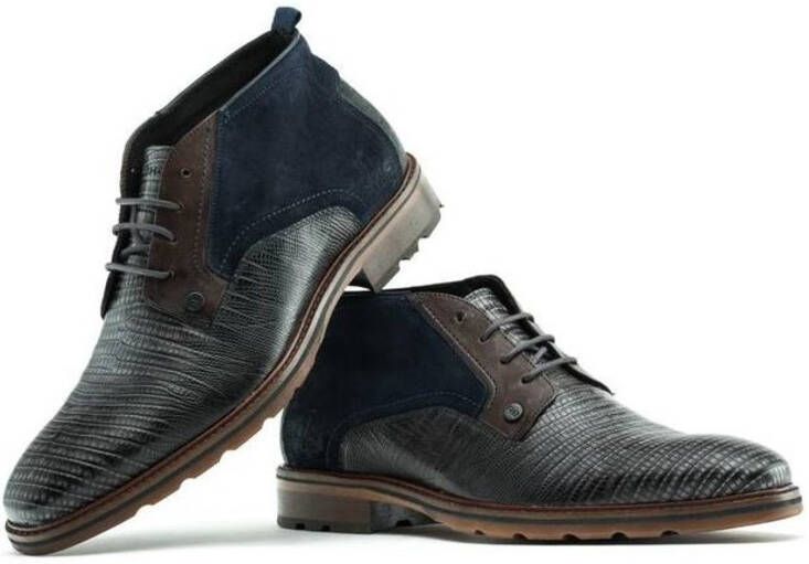 Rehab Farmaco lizard