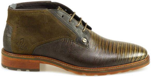 Rehab Farmaco lizard