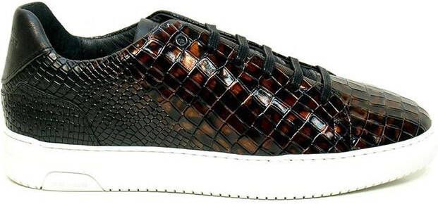 Rehab Teagan ii croco