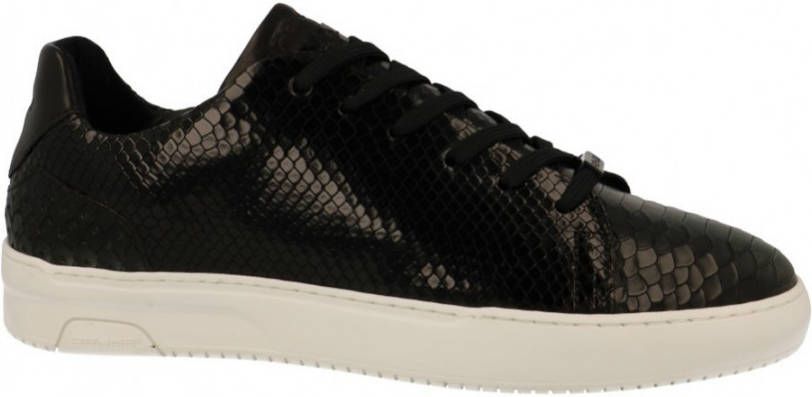 Rehab Teagan Snake Sneakers