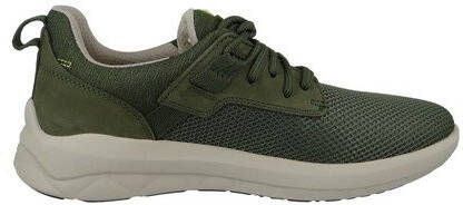 Timberland Sneakers Groen Heren